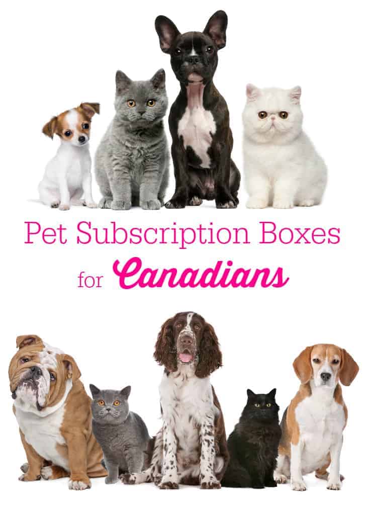 Pet Subscription Boxes for Canadians