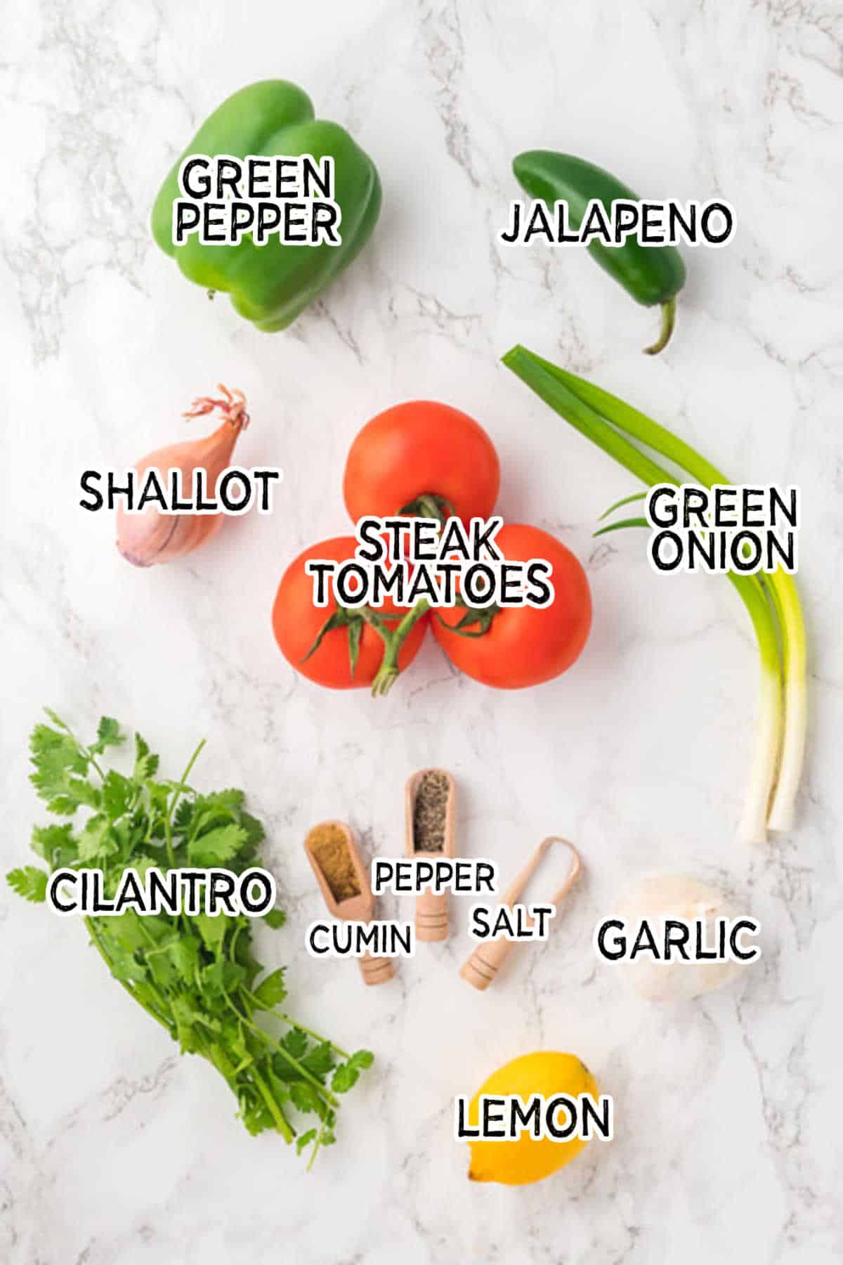 Ingredients to make garden salsa.