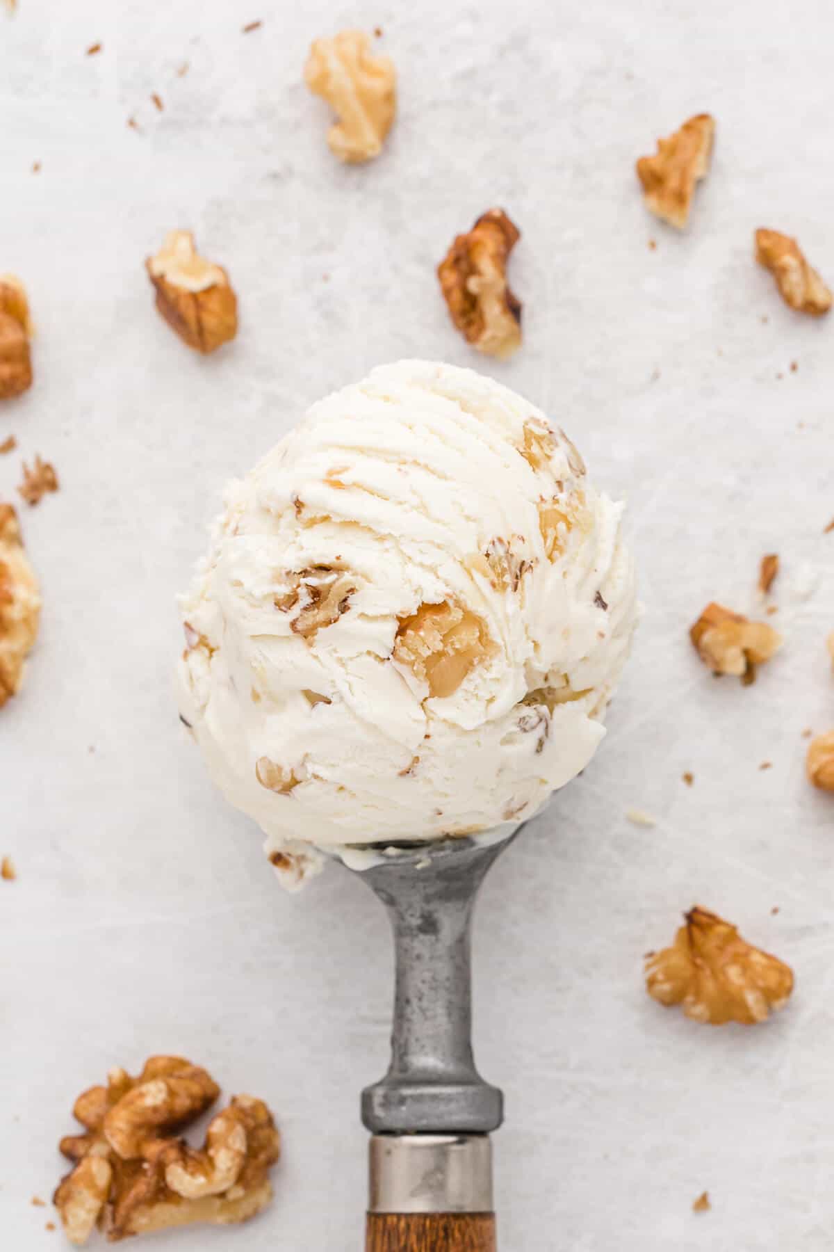 Maple walnut ice cream in an ice cream scoop.