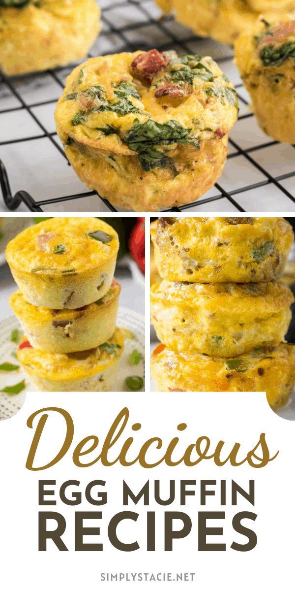 Delicious Egg Muffin Recipes - Packed full of protein and other delicious ingredients, you're going to want to try these yummy egg muffin recipes for breakfast!