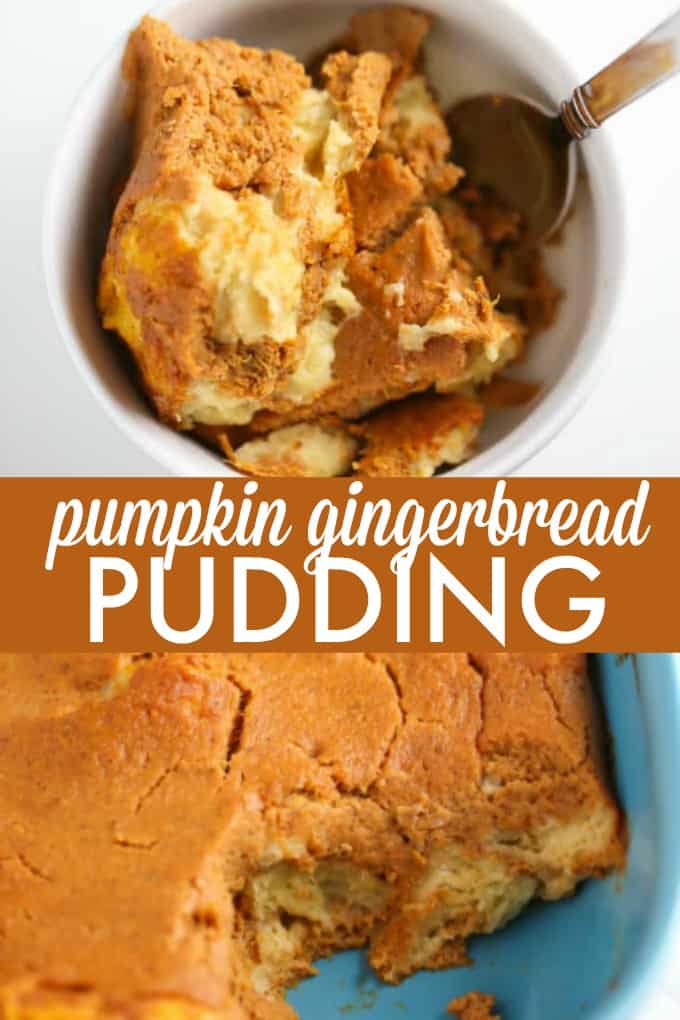 Pumpkin Gingerbread Pudding - A classic pudding with a holiday twist! Skip the pumpkin pie and add this to your Thanksgiving dessert table.