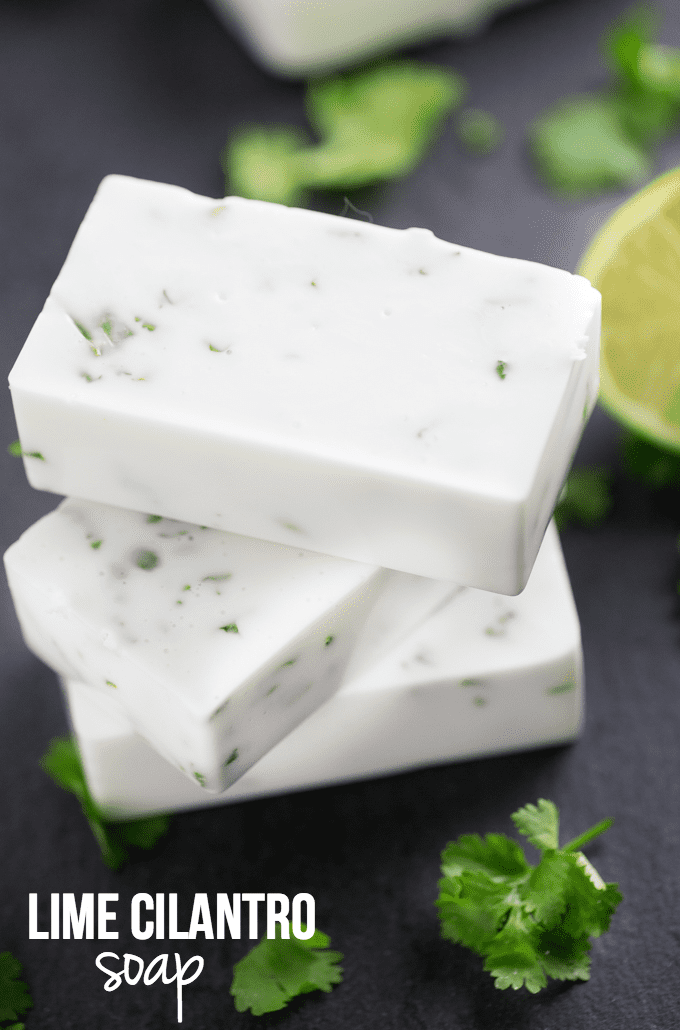 Lime Cilantro Soap - Don't let those fresh herbs go to waste! Make soap! This Lime Cilantro Soap is made with melt and pour shea butter soap base, lime essential oil and fresh cilantro. 