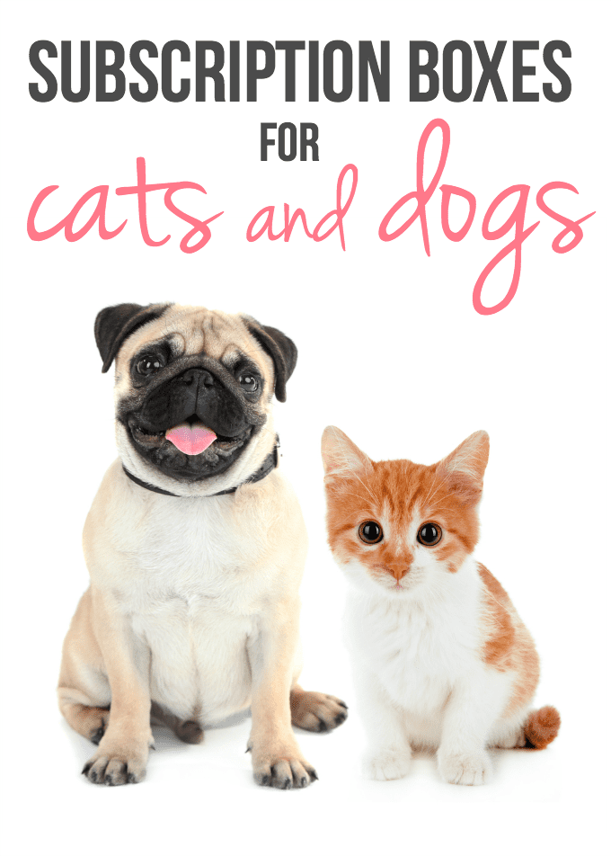 Subscription Boxes for Cats and Dogs - Pets like to get deliveries too! Check out these two subscription boxes for cats and dogs: Meowbox and Barkbox.