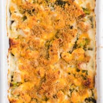 Chicken Broccoli Biscuit Bake - The ultimate comfort food! Country biscuits baked in a creamy Alfredo sauce and topped with broccoli, garlic onions and melted cheese. SO GOOD!