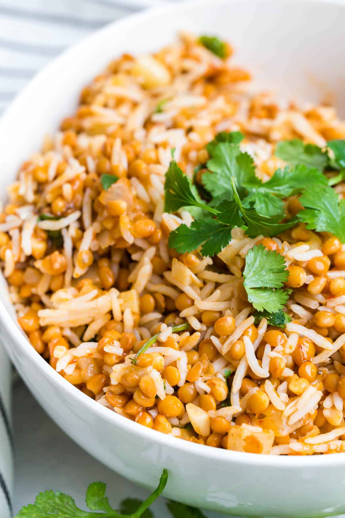 Curried lentil rice in a white bowl.