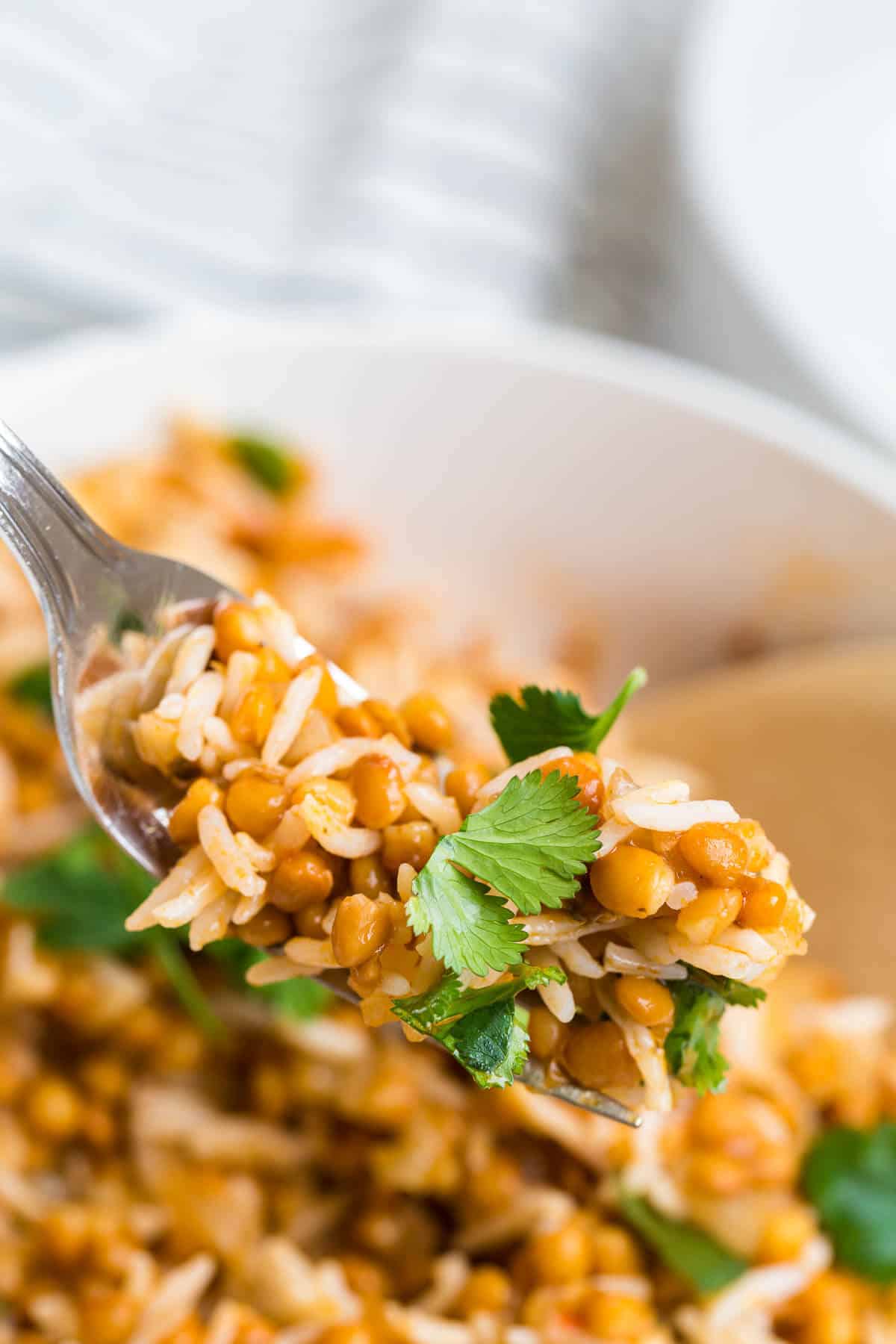 Curried Lentil rice on a fork.