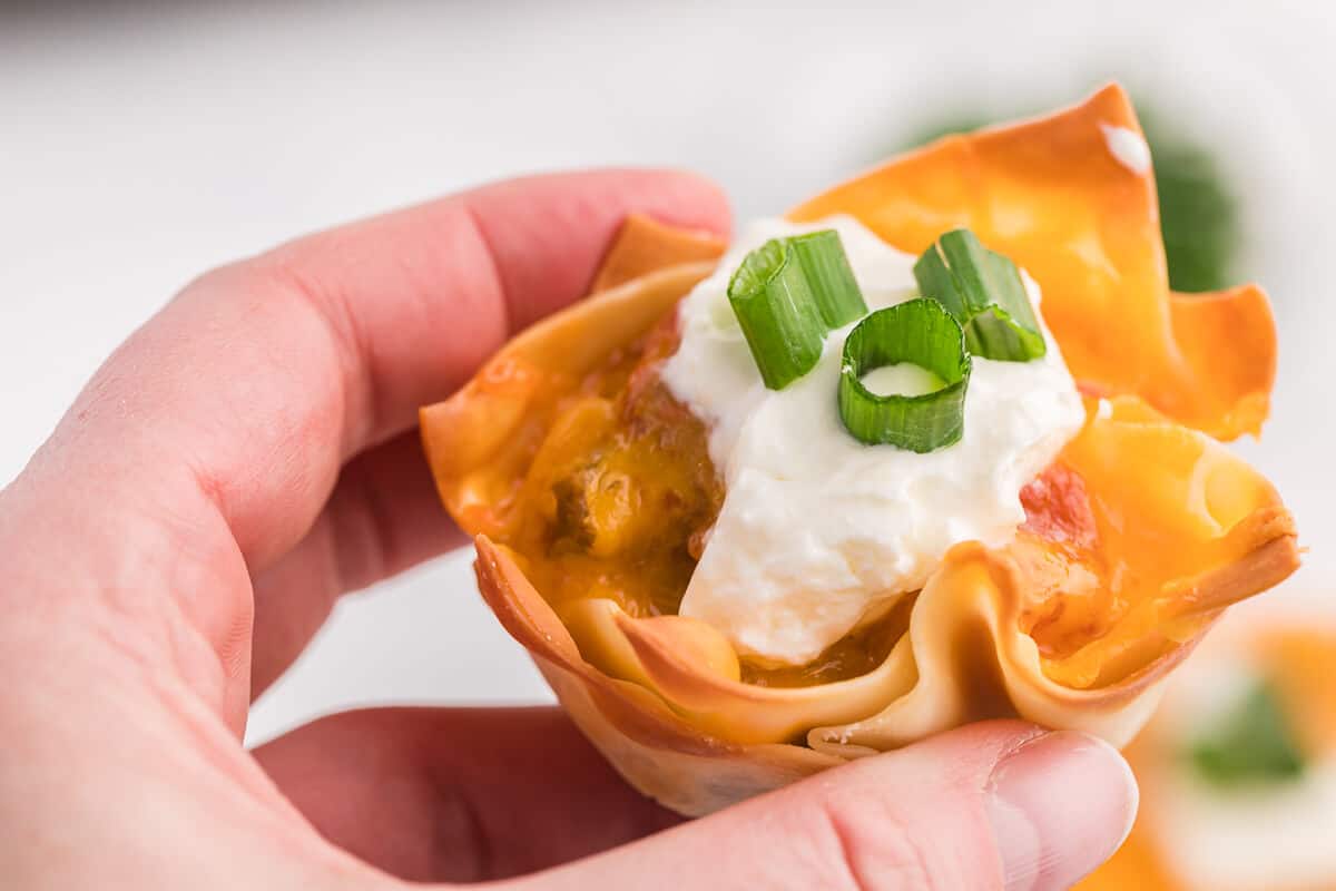 Taco Wonton Cups - Make this yummy appetizer in a muffin tin with wonton wrappers! Top the seasoned taco beef with your favourite fresh toppings and melted cheese and watch these crispy treats disappear in a flash.