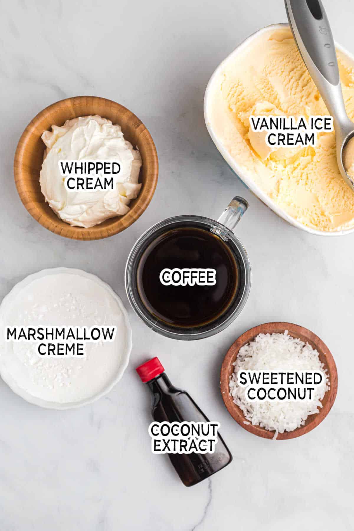 Ingredients to make a coconut coffee milkshake.