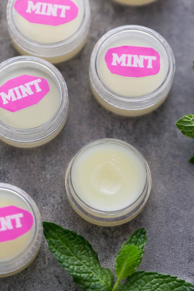 Mint Lip Balm