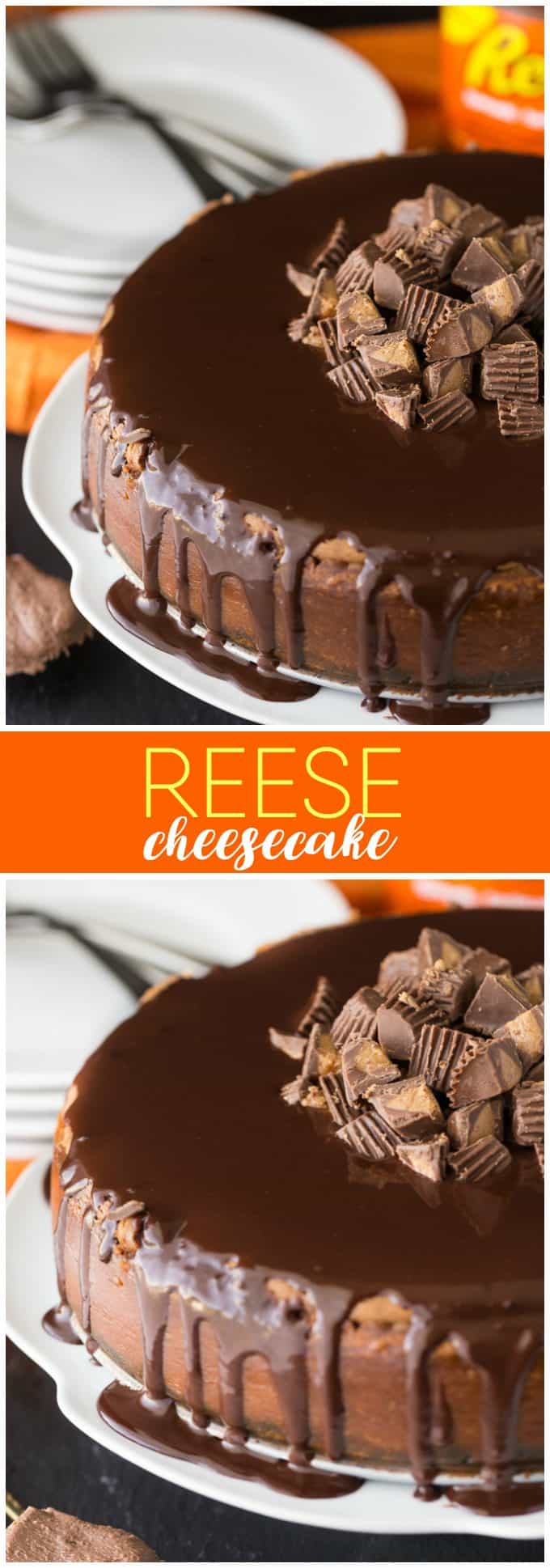 Reese Cheesecake - A chocolate and peanut butter dream! This decadent cheesecake is sandwiched by chocolate crust and chocolate ganache with a peanut butter punch.