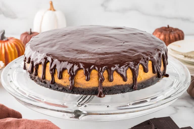 Chocolate Pumpkin Cheesecake