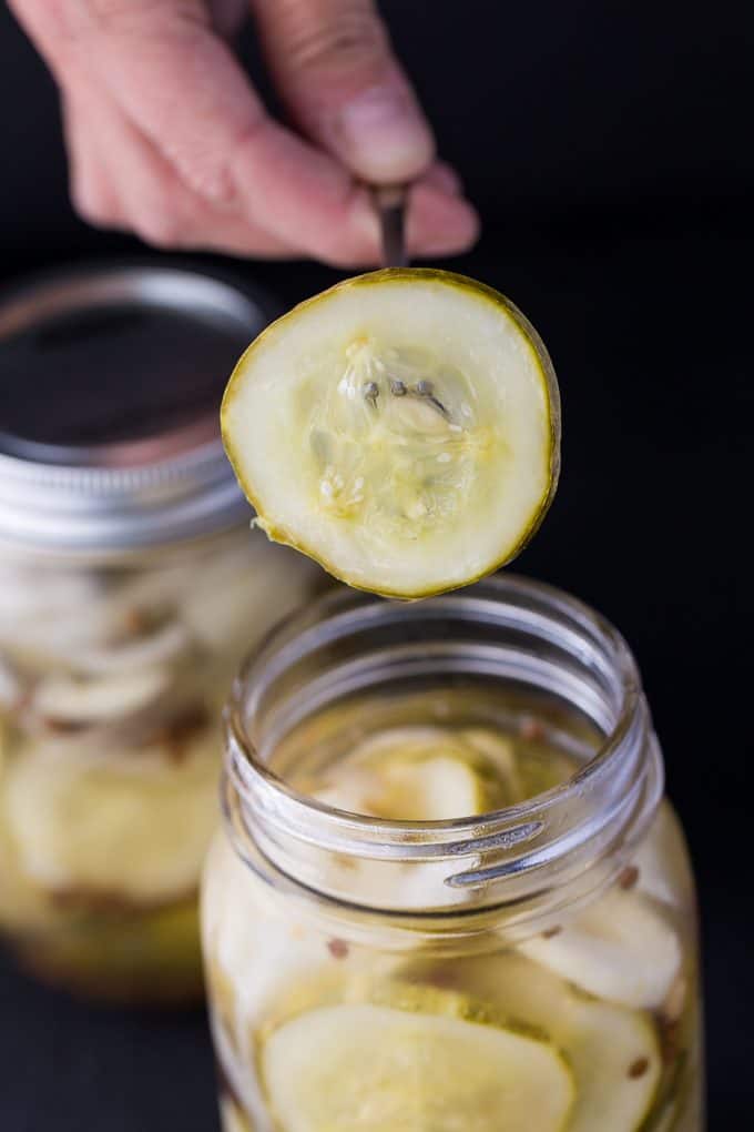 Refrigerator Pickles - Making pickles couldn't be any easier! They taste delicious and ready to enjoy in just four days. No special equipment required. 