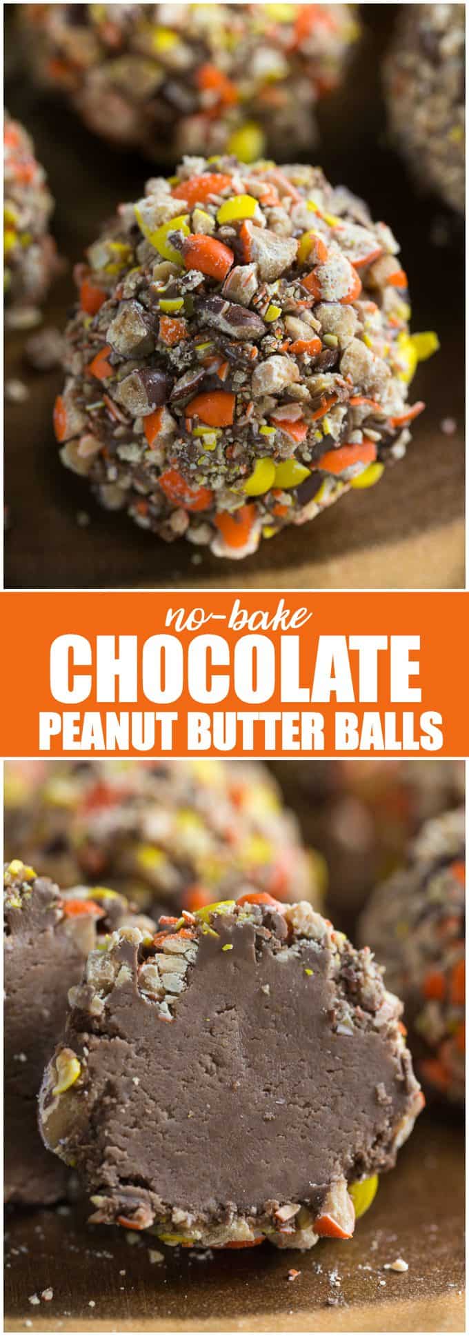 No-Bake Chocolate Peanut Butter Balls - Super easy DIY snack gift! No baking required for these delicious desserts.