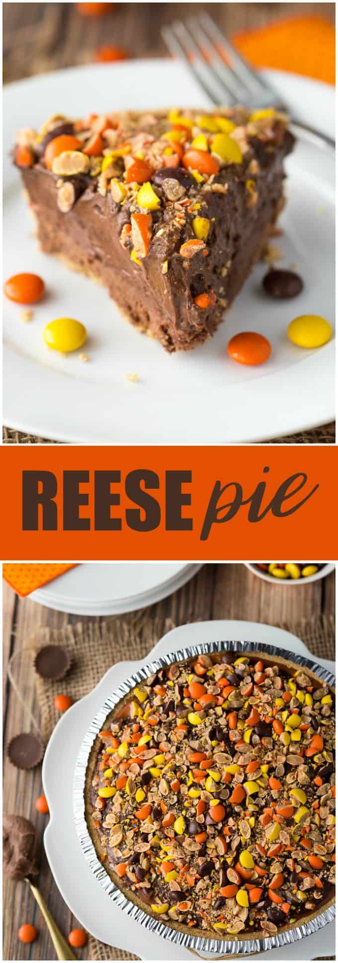 REESE Pie - This decadent no-bake dessert is all about REESE! It has a thick rich layer of REESE Spreads followed by a layer of REESE Peanut Butter Cups. Top that with a creamy, smooth chocolate/peanut butter pudding layer and a REESE'S Pieces colourful finish. 