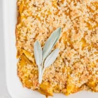 Pumpkin Macaroni & Cheese - Creamy, cheesy and absolutely delicious! If you haven't added pumpkin to your mac and cheese, you are missing out.