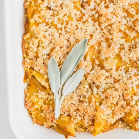 Pumpkin Macaroni & Cheese - Creamy, cheesy and absolutely delicious! If you haven't added pumpkin to your mac and cheese, you are missing out.