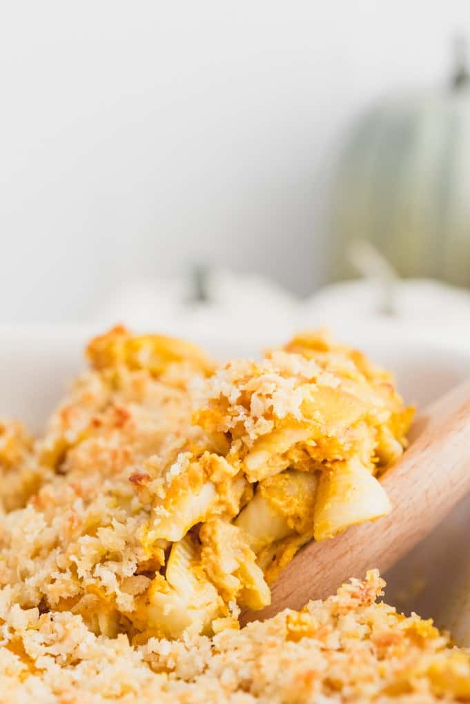 Pumpkin Macaroni & Cheese - Creamy, cheesy and absolutely delicious! If you haven't added pumpkin to your mac and cheese, you are missing out.