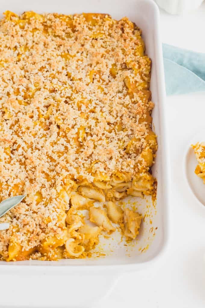 Pumpkin Macaroni & Cheese - Creamy, cheesy and absolutely delicious! If you haven't added pumpkin to your mac and cheese, you are missing out.