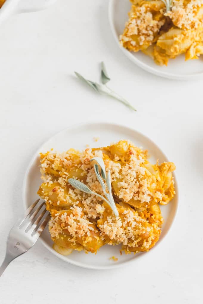 Pumpkin Macaroni & Cheese - Creamy, cheesy and absolutely delicious! If you haven't added pumpkin to your mac and cheese, you are missing out.