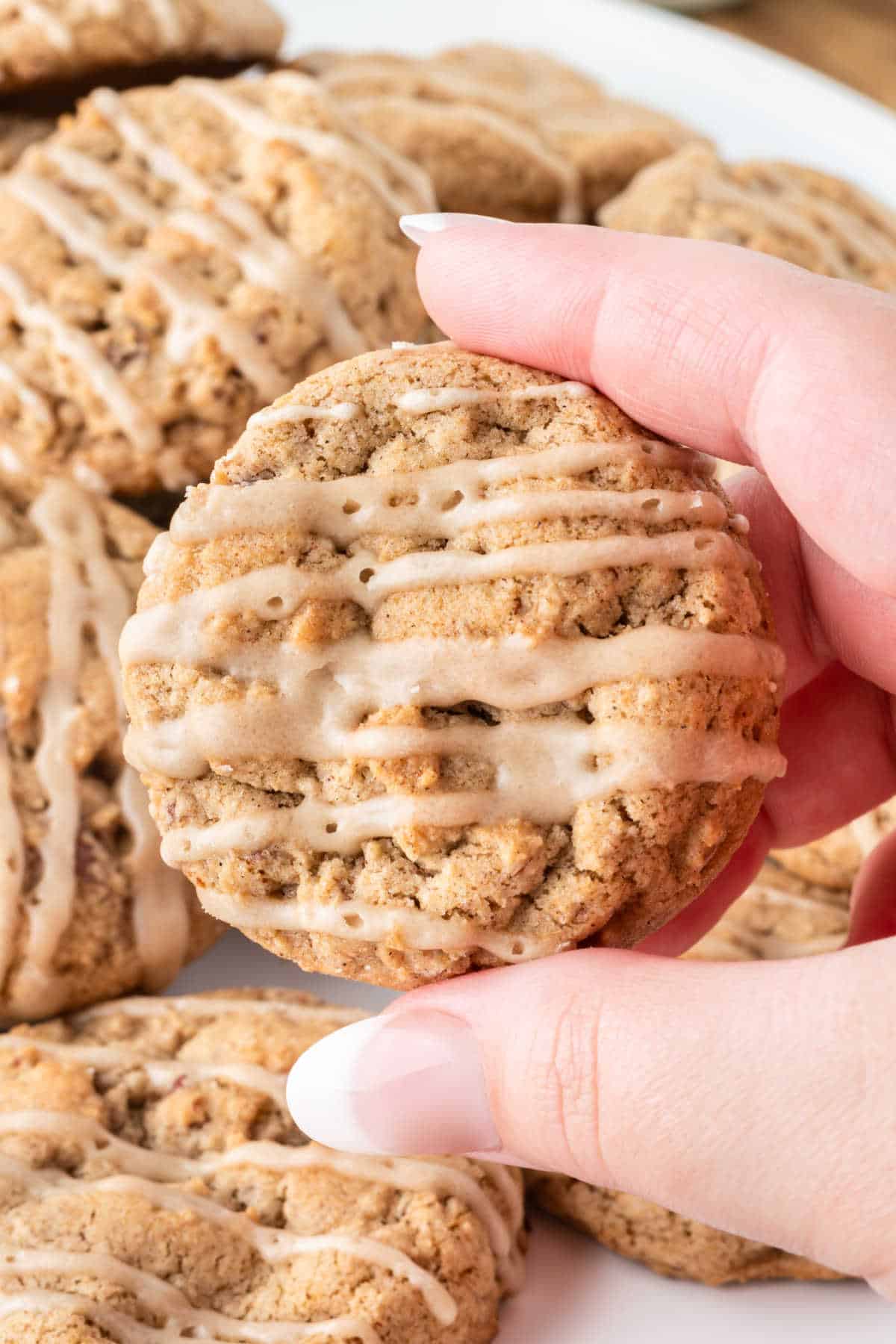 A hand holding a brown sugar cookie.