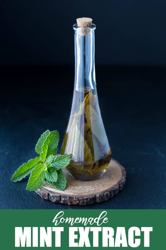 Homemade Mint Extract - This homemade extract is easy to make and makes a lovely DIY gift! 