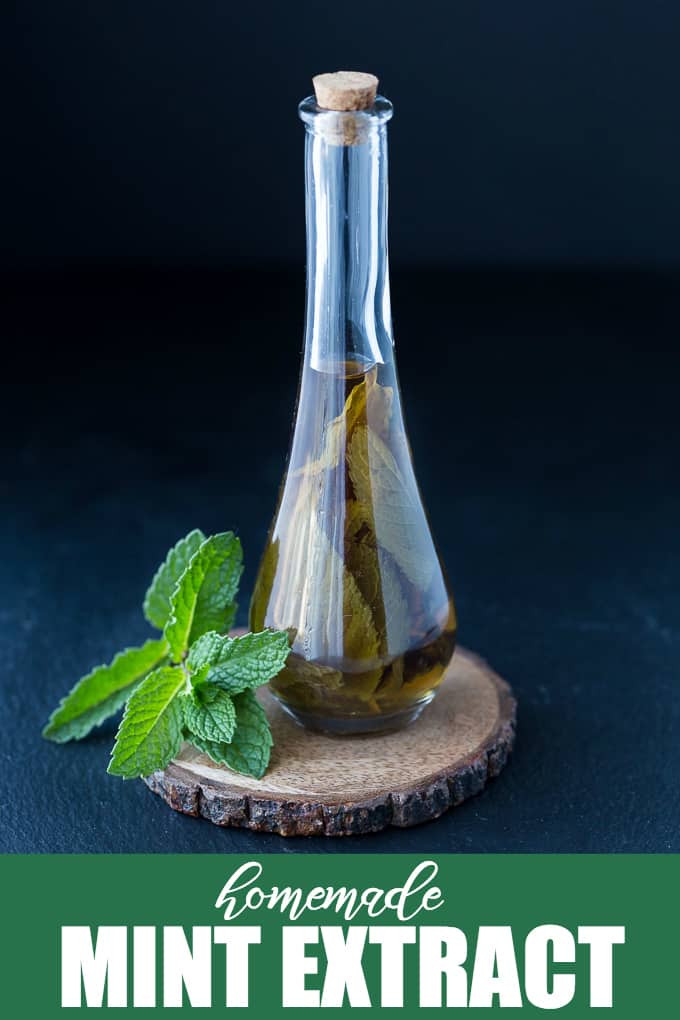 Homemade Mint Extract