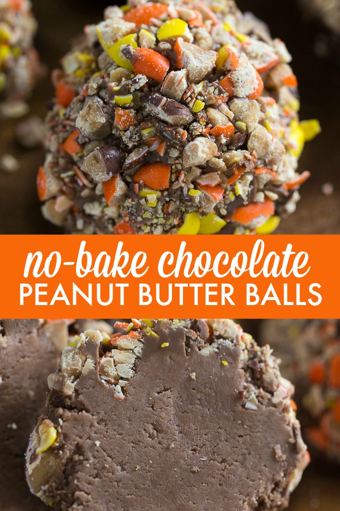 No-Bake Chocolate Peanut Butter Balls - Super easy DIY snack gift! No baking required for these delicious desserts.