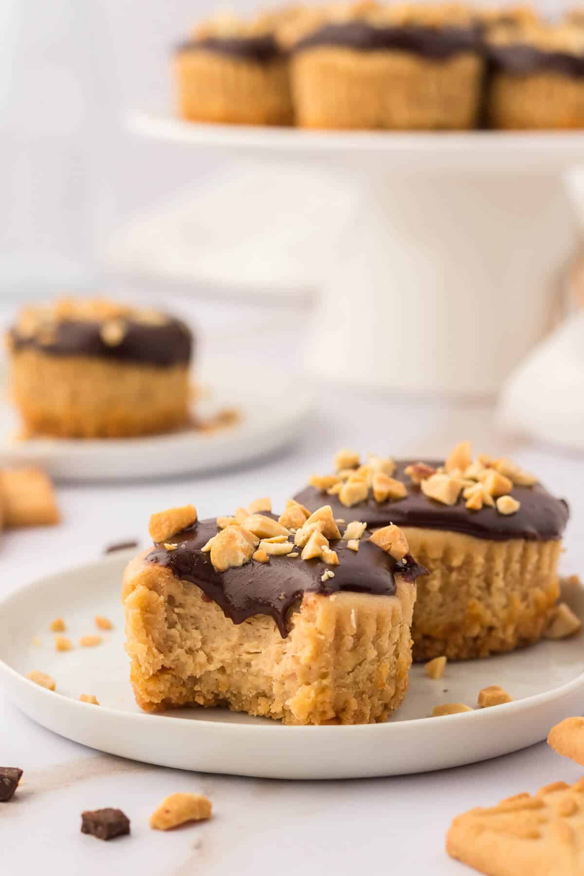 Two mini peanut butter cheesecakes on a plate.