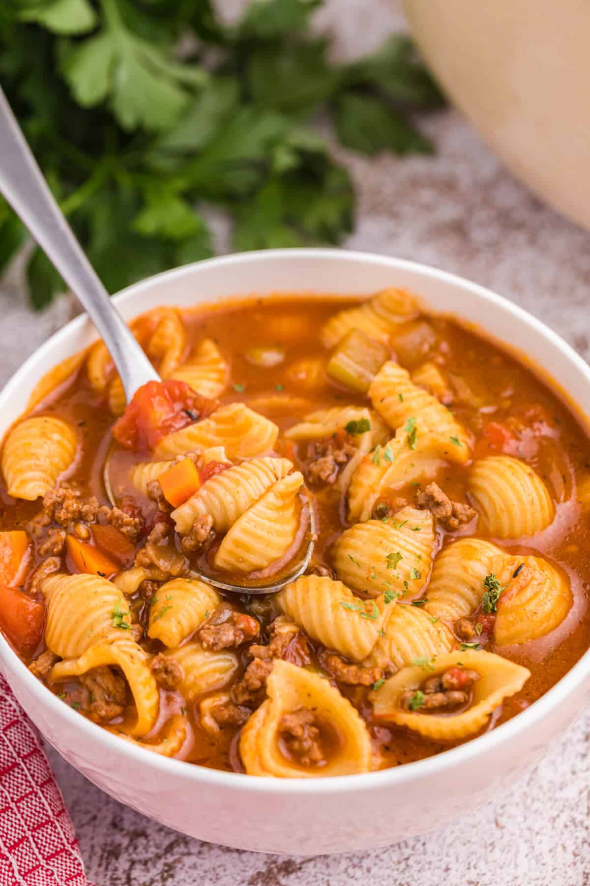 Hamburger soup in a bowl with a spoon.