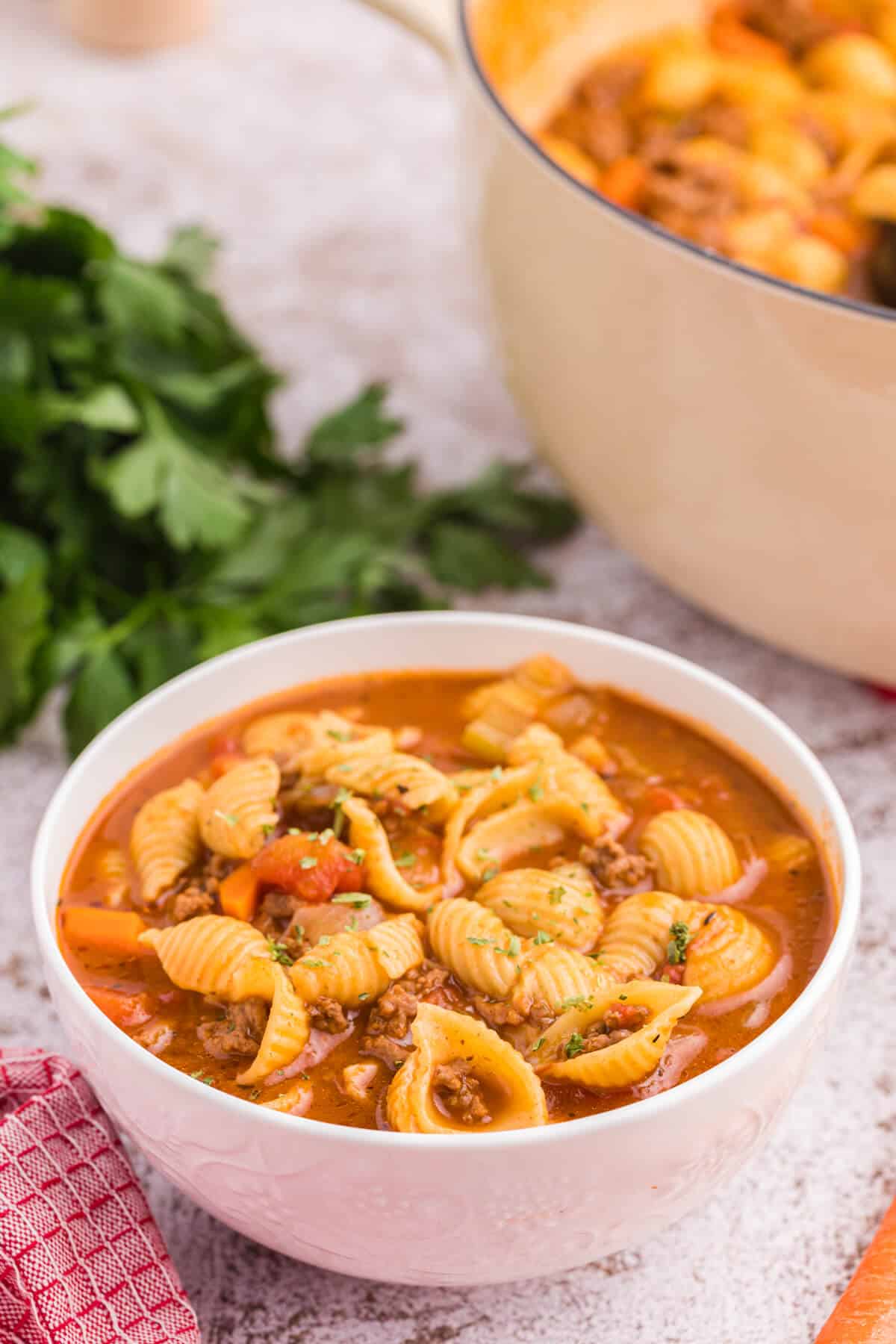 Hamburger soup in a white bowl.