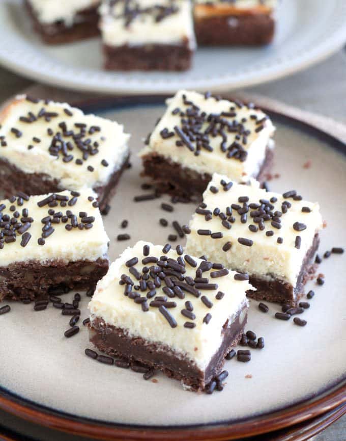 Cheesecake Squares with a Chocolate Nut Crust - Rich, creamy cheesecake squares with a chocolate walnut crust. One bite and you'll be in cheesecake heaven!