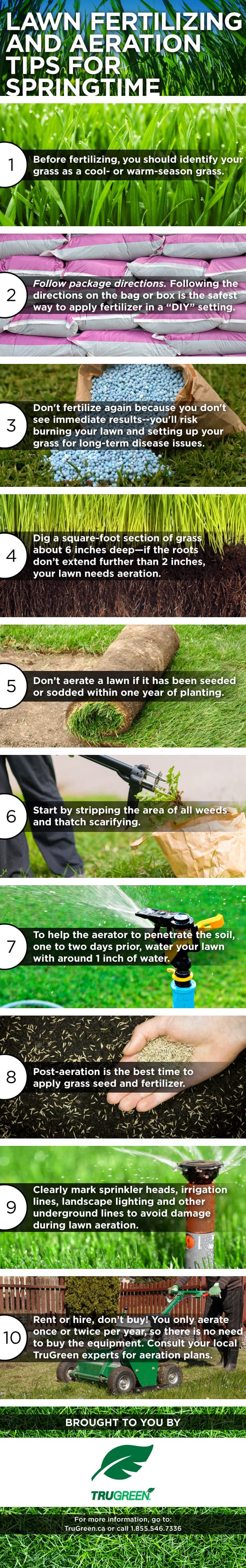 How to Prepare Your Yard for Spring - Simple tips to get your yard looking its best for the upcoming season.