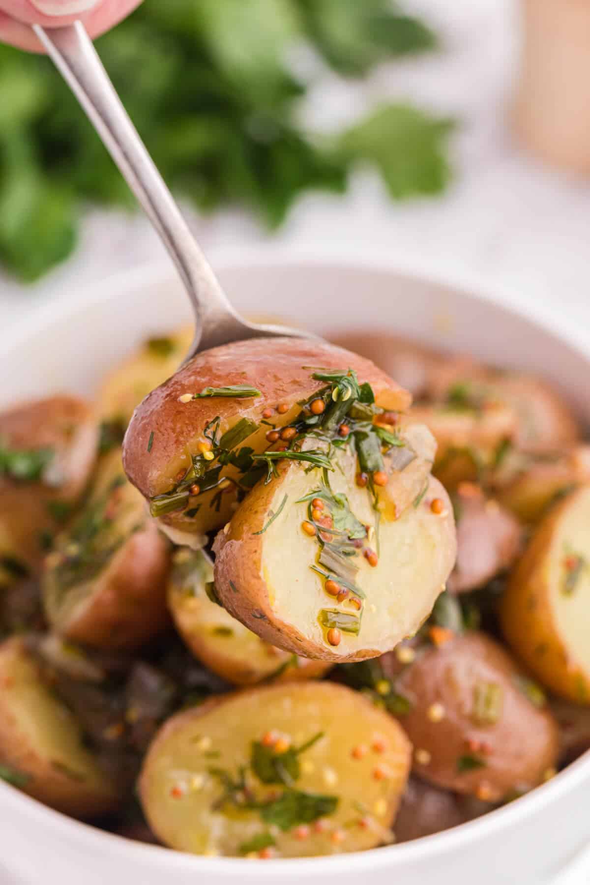 Herb potato salad on a spoon.