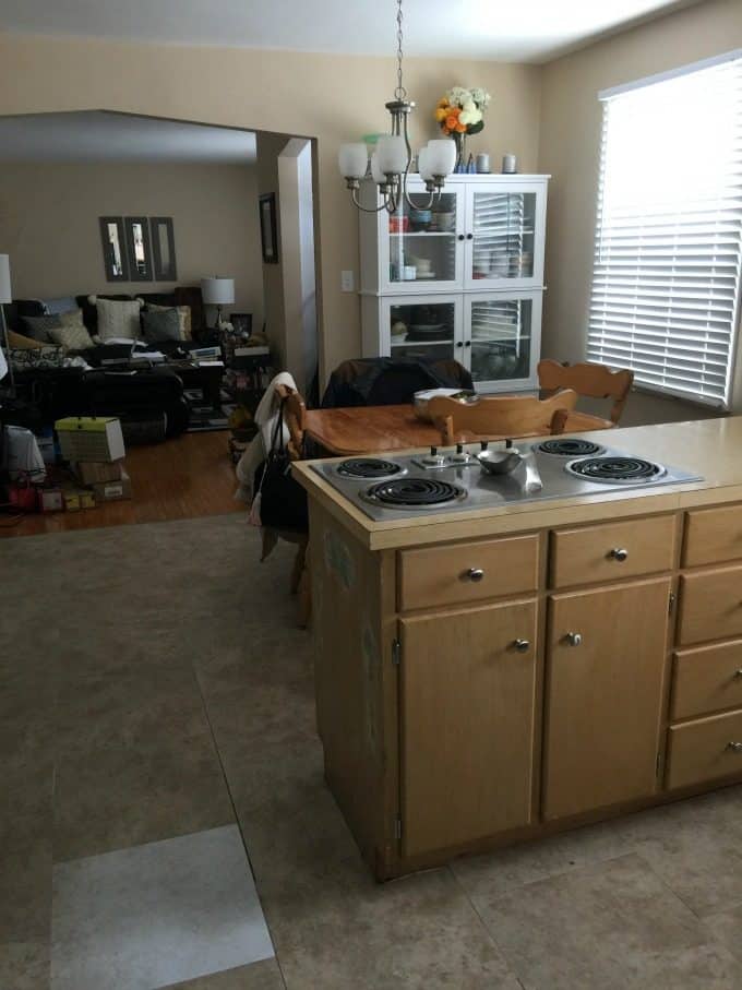 My Kitchen Before Renovations