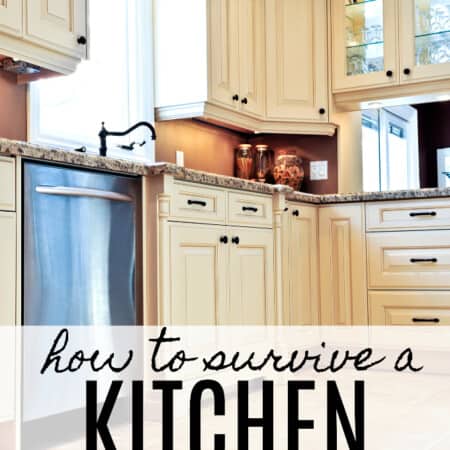 How to Survive a Kitchen Renovation