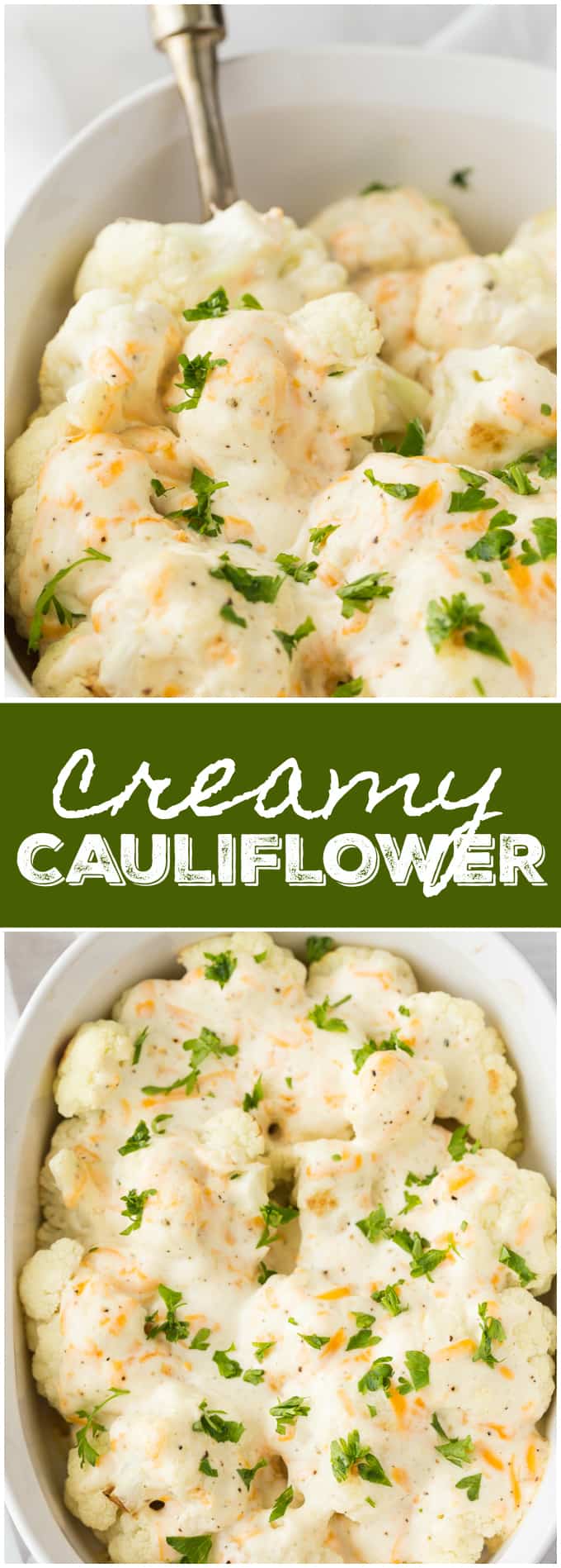 Creamy Cauliflower - Even the most picky eaters will love this roasted cauliflower smothered in a Dijon mustard and cheese sauce.
