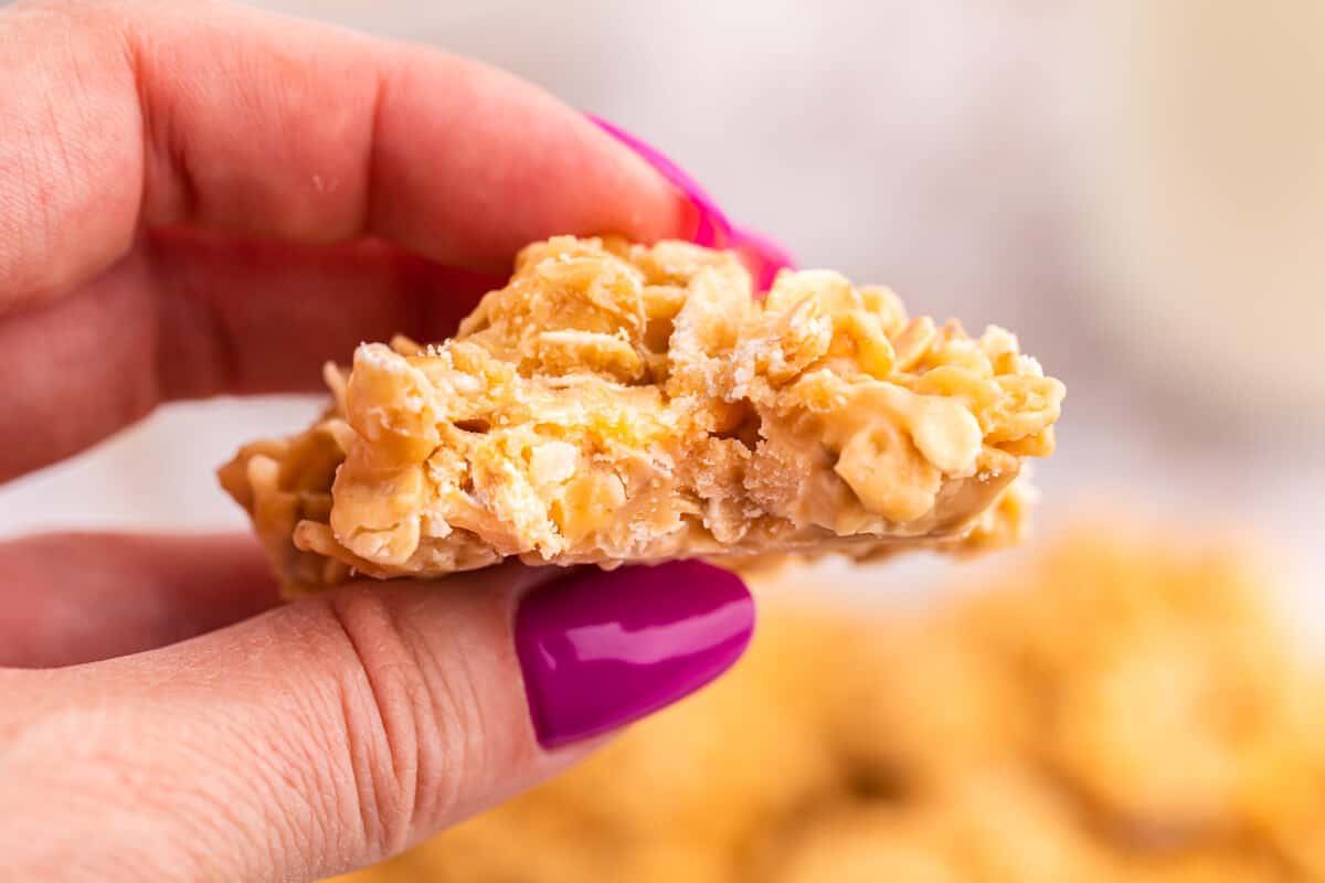 A hand holding a butterscotch cookie with a bite out of it.