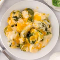 The recipe on a white plate.