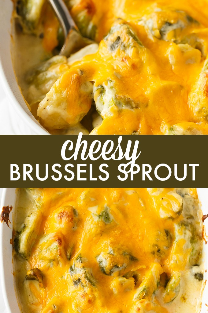 Cheesy Brussel Sprouts - The cheesiest side dish! Even people who don't like brussel sprouts will ask for another helping of this roasted vegetable recipe.
