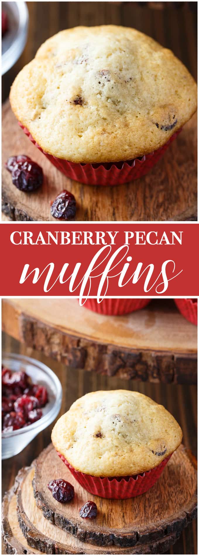 Cranberry Pecan Muffins - The best holiday breakfast! Whip these up for Thanksgiving or Christmas morning.