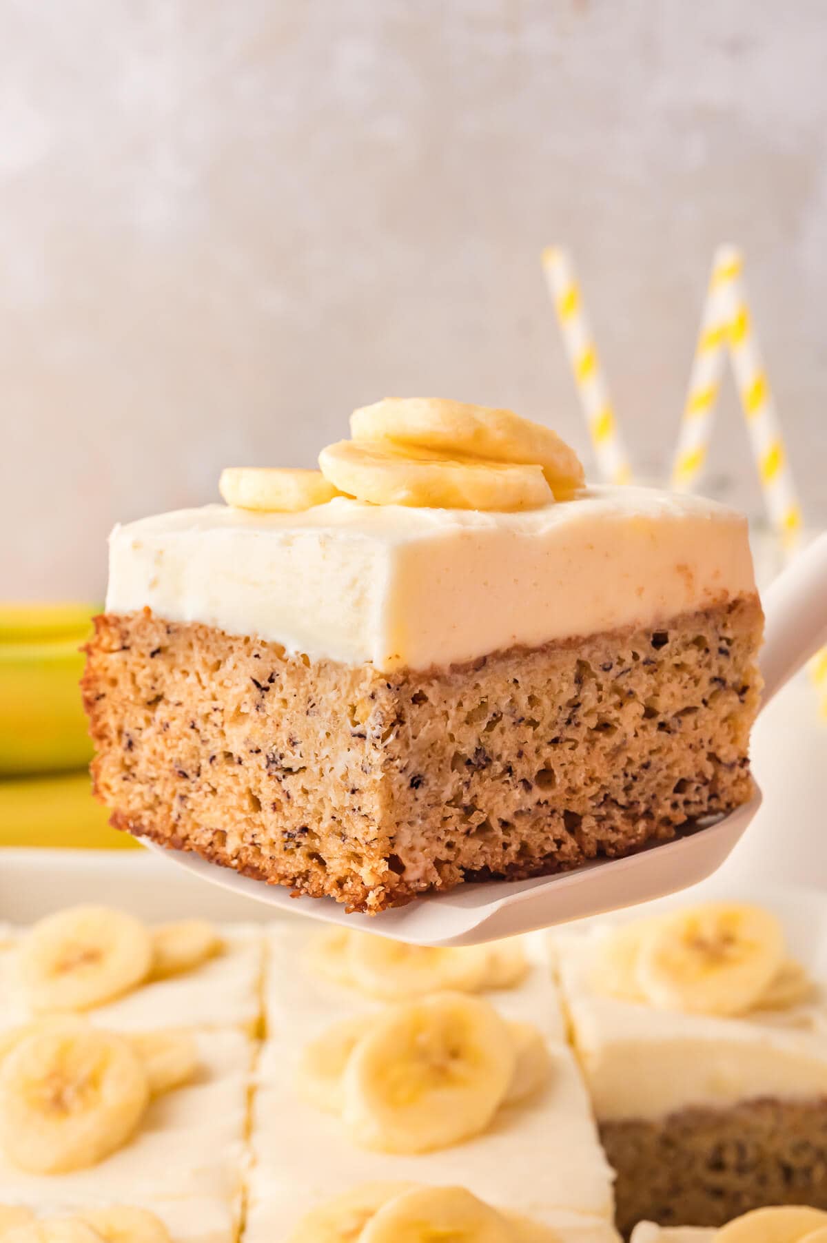 A slice of cake on a spatula.