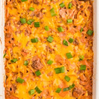 Beef Noodle Bake - This beefy pasta casserole, with crowd pleasing flavours of cheese, garlic and sour cream, is the perfect make-ahead dish for feeding a large group.