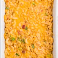 Salsa Macaroni & Cheese - Classic mac and cheese with a Tex Mex twist! Spice levels can be controlled by using medium or hot salsa, which is a great compliment to the cheesy, creamy sauce.
