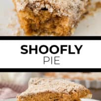 Shoofly Pie - A popular Pennsylvania Dutch pie recipe from the 1800s. Great with coffee or a scoop of ice cream! A vintage dessert perfect for parties.