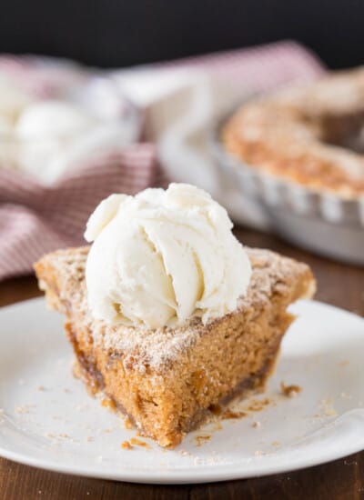 Shoofly Pie - A popular Pennsylvania Dutch pie recipe from the 1800s. Great with coffee or a scoop of ice cream! A vintage dessert perfect for parties.