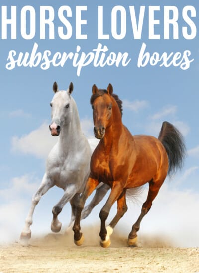 7 Horse Lovers Subscription Boxes
