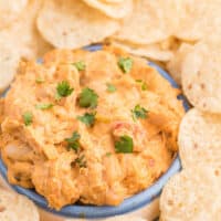 Crockpot White Chili Chicken Dip - Your favorite soup is now your go-to appetizer! This simple dip is packed with Mexican flavor from cilantro, cumin, green chiles, white beans, and taco seasoning.
