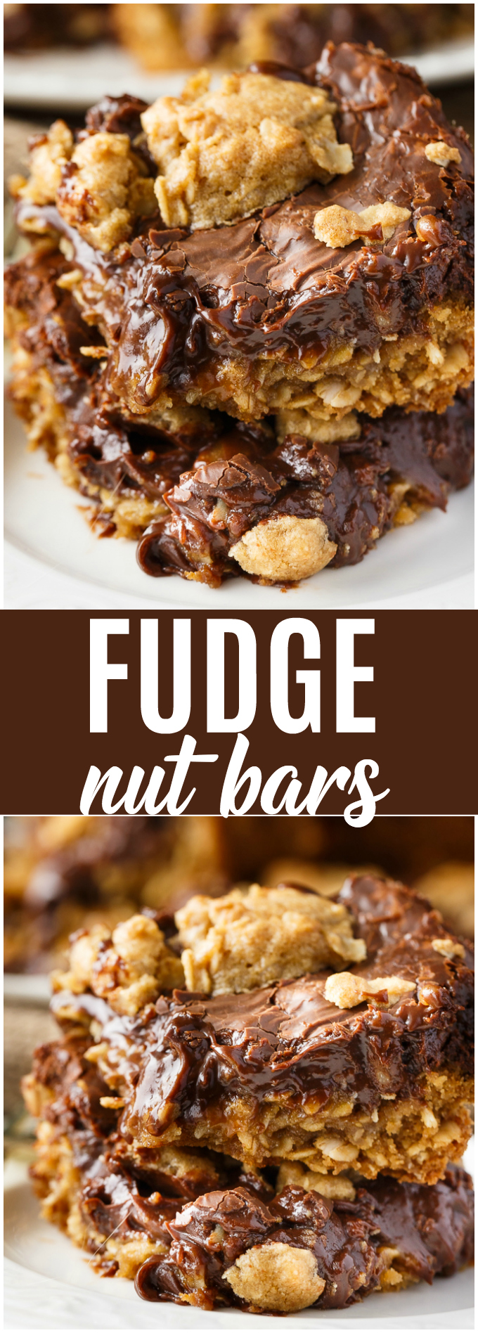 Fudge Nut Bars - Rich and sweet with multiple dimensions of flavour. Creamy fudge is layered between an oat base and topping.