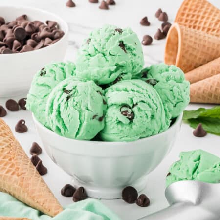 Mint chocolate chip ice cream in a white bowl.