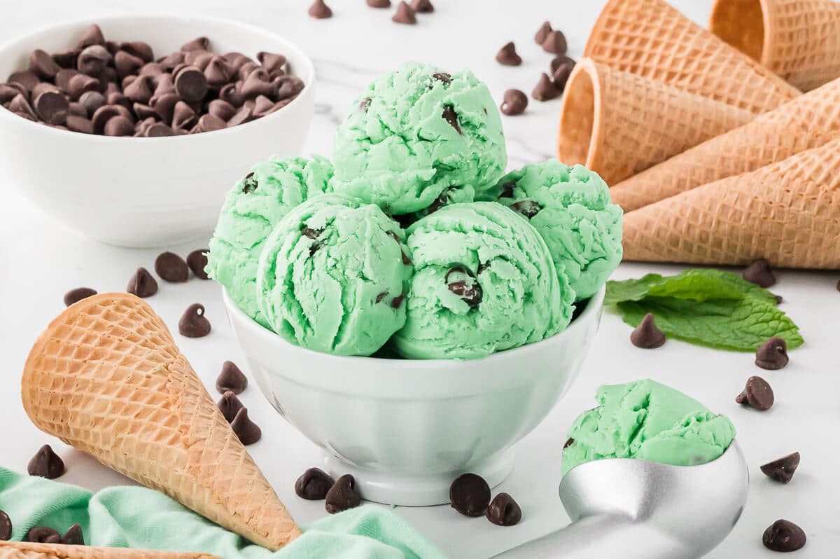 Mint chocolate chip ice cream in a white bowl.